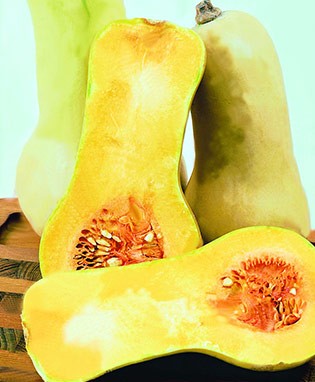 Waltham Butternut Squash